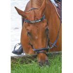 HKM Frontriem voor sierletters, zacht onderlegd bruin pony cob full