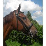 HB stang en trenshoofdstel zwart full