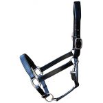 Harry's Horse leder haster padded zwart cob full