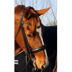 DHH Hoofdstel stang en trens DuoTone zwart/choco met Swarovski maat full