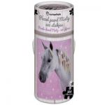 Paarden puzzel in koker