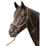 Leren Lederen halster -Veronika- bruin pony