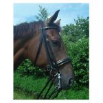 HB Stang en Trens Hoofdstel Goldline cob