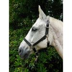 Horka  Halster Nubuck zwart full xtra full op=op