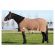 Harry's Horse cooler deken amphora 195 205