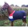 HB showdeken going to holland 195 205